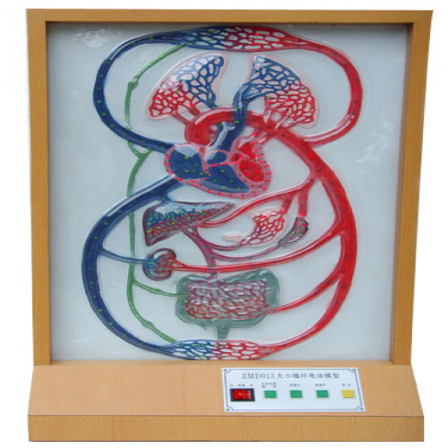 大、小循環(huán)電動(dòng)模型